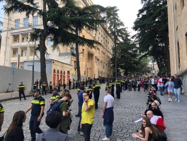 Парламент Грузии преодолел вето президента и окончательно принял закон «об иноагентах» /Фото 1