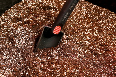 Наверху пищевой цепочки. Альбина Антоненкова выращивает хищных жуков. Как для завоевания рынка она построила хищный отдел продаж /Фото 5