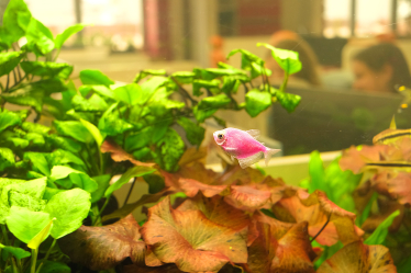 Как смешать «экстравертные» и «интровертные» отделы в одном офисе? Медиакомпания AIR Media-Tech, кажется, нашла решение. Что у нее получилось /Фото 19