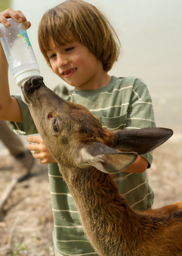 Оленячий парк «На рогах»