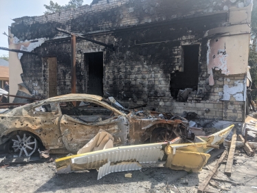 Страусы погибли, олени, муфлоны и дикобразы ушли в лес. Трагедия на Ясногородской страусиной ферме /Фото 1