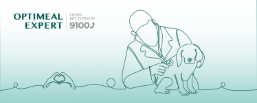 Допомога притулкам, зооволонтерам та домашнім тваринам під час війни. Благодійні проєкти Kormotech у цифрах /Фото 5