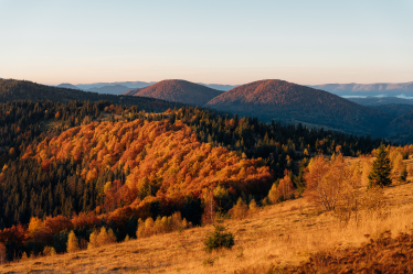 Такі краєвиди побачать гості GORO Mountain Resort