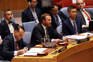 Генассамблея ООН Эстония Польша /Getty Images