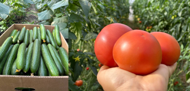 Точка опори. Як «Астарта», уряд Німеччини, німецький банк розвитку DEG і БФ «Повір у себе» інвестують у мале підприємництво та розвивають локальні громади в Україні /Фото 3