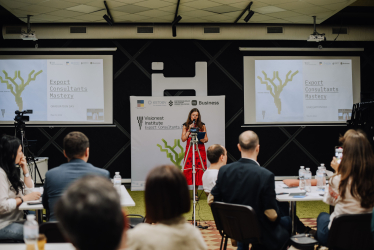 Export Consultants Mastery