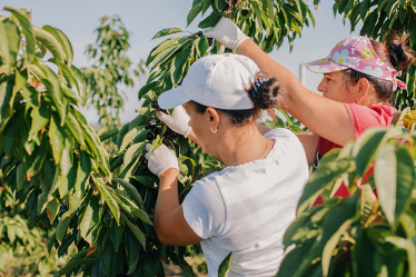 Постоянно рядом. Всегда быть на месте, с людьми – правило собственника среднего бизнеса, считает совладелец компании Konyk Андрей Мелеш. /предоставлено Konyk