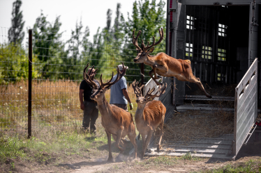 Парк «На рогах»