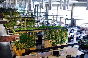 Трансформация пространства. Как украинские компании готовят свои офисы к окончанию пандемии /Фото 3