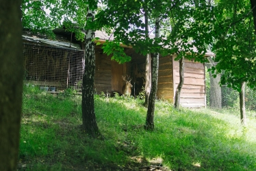 «Серце Азовсталі»