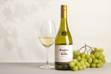 Вина, які створюють легенди: історія чилійських вин Casillero del Diablo /Фото 5