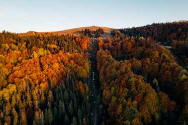 Тут буде сучасна гондольна канатна дорога – перша та найдовша в Україні