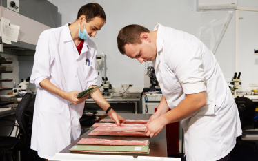 Далі – космос. Як харківська LTU Enterprise виробляє мікроелектроніку для великого адронного колайдеру /Фото 1