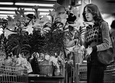 Як навчитися маніпулювати дедлайнами? Американські фермери встигають виростити мільйони лілій точнісінько до Великодня. Ось прийом, що допомагає їм планувати /Фото 3