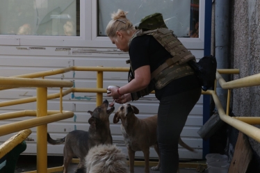 Підрив Каховської ГЕС. Середній рівень підтоплення на Херсонщині досяг 5,6 м /Фото 3