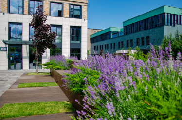 Архітектура довіри: як функціональний офіс перетворюється на інструмент залучення команди. Кейс Forum Group /Фото 2