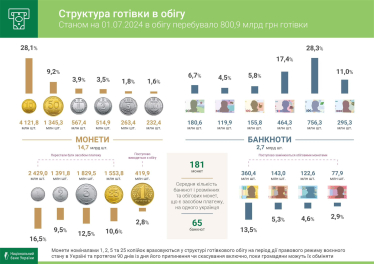 В наличном обращении в первом полугодии прибавилось 36,5 млрд грн. В чем причина /Фото 1