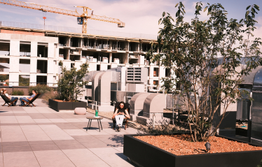 IT-компанія Intellias спробувала зміксувати простір, де народжується не тільки код, але й творчість. Що у неї вийшло /Фото 6