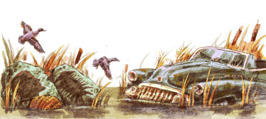 Андрей Курков. Строитель миражей /Фото 3