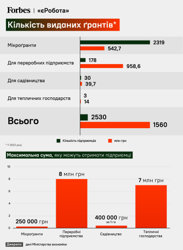 Для досвідчених і ризикових. Уряд збільшує фінансування підтримки малого бізнесу. Як працює програма «єРобота» та хто отримує держкошти /Фото 1
