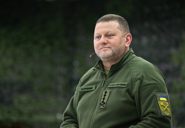 Валерий Залужный /Getty Images