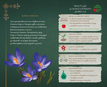 Видавництво «Ранок» проілюструвало «Лісову пісню» Лесі Українки персонажами з «Мавки». Місячні продажі книги зросли приблизно в 300 разів /Фото 5