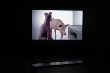 Утопічне життя. Премія PinchukArtCentre Prize із головним призом 370 000 грн оголосила переможців. Про що їхні роботи /Фото 1