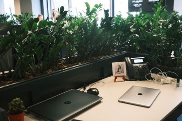 Диджитал-команда Альфа-Банка Украина работает в «13-комнатной квартире». Зачем в компании создали такой формат офиса /Фото 9