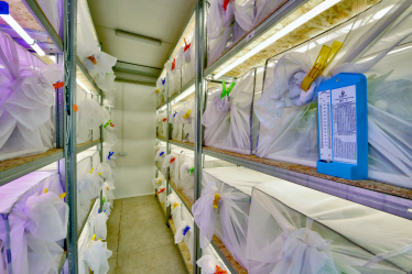 Наверху пищевой цепочки. Альбина Антоненкова выращивает хищных жуков.&amp;nbsp;Как для завоевания рынка она построила хищный отдел продаж /Фото 8