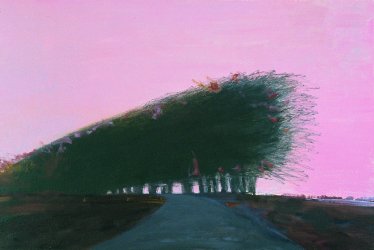 Скугарева, Тистол, Аполлонов, Сухолит, Придувалова, Билоус. В Национальном художественном музее открылась первая с начала большой войны выставка /Фото 1