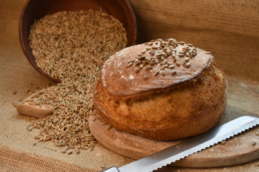 Екосистема успішних. Як підтримка мікропідприємництва у регіонах сприяє розвитку економіки /Фото 7