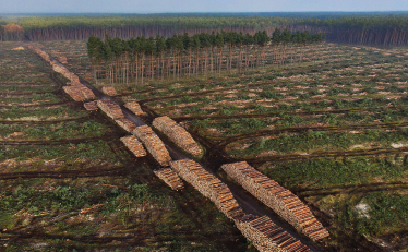Німецьке «бюрократичне пекло». Чому Ілон Маск не може швидко побудувати новий завод Tesla у Берліні /Фото 2
