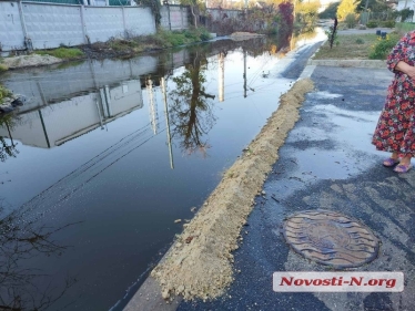 Окупанти вдарили дронами-камікадзе по олійному терміналу в Миколаєві