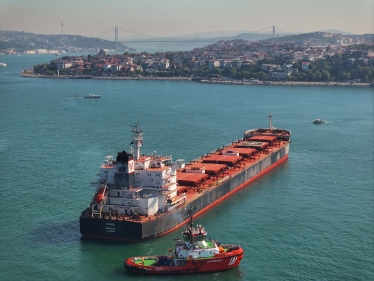 У Босфорі сіло на мілину судно з України. Рух каналом тимчасово закрили (фото) /Фото 2