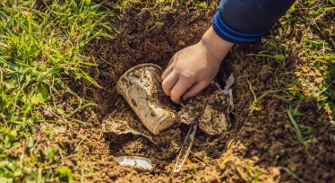 Експеримент, під час якого чашки, виготовлені з целюлози й бамбука, закопували в землю на майже 60 днів, аби перевірити їхню здатність до розкладання. /DR