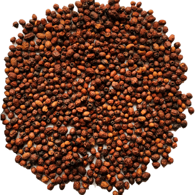 Herbatica