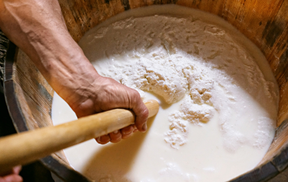 «Гуцульська овеча бриндзя»&amp;nbsp;– один із трьох українських продуктів із захищеним географічним походженням. Як її виготовляють /Фото 6