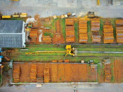 Рубают, сушат, продают. Как работает Государственное Остерское лесное хозяйство. Фоторепортаж Forbes /Фото 2