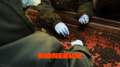 «Ми хочемо змінити імідж України як сировинної держави». Гриби та ягоди від BIONERICA підкорюють світ /Фото 6