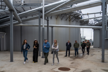 Залишаємося одним із найбільших кредиторів економіки України – Райффайзен Банк /Фото 2