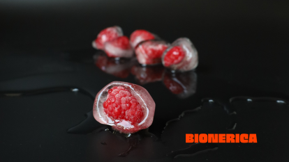 «Ми хочемо змінити імідж України як сировинної держави». Гриби та ягоди від BIONERICA підкорюють світ /Фото 5