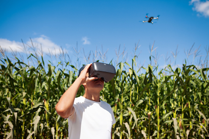 Упродовж 20 років Україна подвоїла виробництво зернових та олійних культур. Як технології допомагають точному землеробству /Фото 1