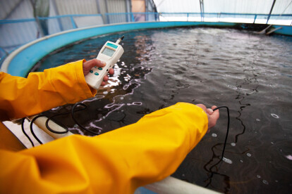 50 грамів осетрової ікри коштує 1000 грн. Щоб отримати 1 кг, необхідно девʼять років на вирощування риби. Фоторепортаж з підприємства Stellar Caviar /Фото 2