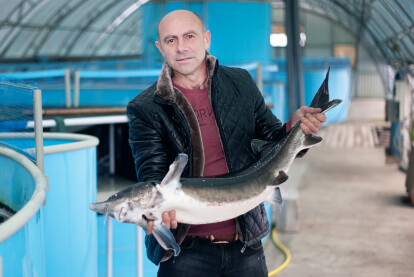 50 грамів осетрової ікри коштує 1000 грн. Щоб отримати 1 кг, необхідно девʼять років на вирощування риби. Фоторепортаж з підприємства Stellar Caviar /Фото 7