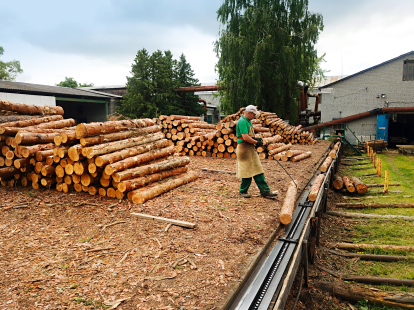 Рубают, сушат, продают. Как работает Государственное Остерское лесное хозяйство. Фоторепортаж Forbes /Фото 4