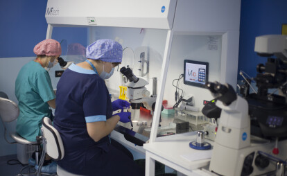 Происхождение жизни. Как работает технология искусственного оплодотворения /Фото 5