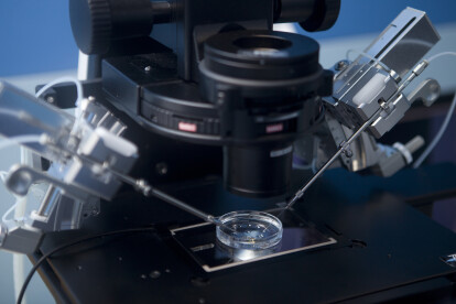 Происхождение жизни. Как работает технология искусственного оплодотворения /Фото 2