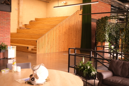 Основатели IT-компании Jooble считали, что в офисе работать эффективнее. Карантин доказал обратное. Как теперь они внедряют режим remote first /Фото 23