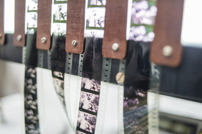 Скандал навколо Довженко-Центру. Як Держкіно хоче реорганізувати головний кіноархів країни та чим це загрожує /Фото 1