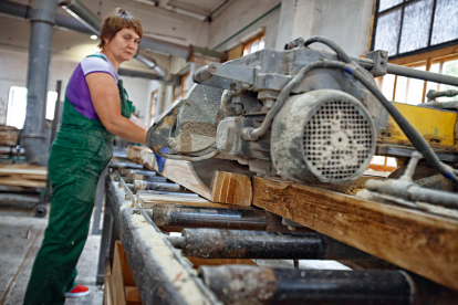 Рубают, сушат, продают. Как работает Государственное Остерское лесное хозяйство. Фоторепортаж Forbes /Фото 5